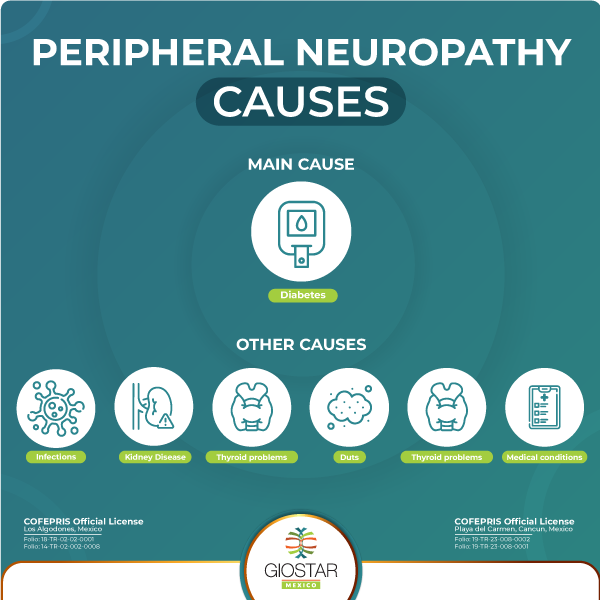 Peripheral Neuropathy and the Potential of Stem Cell Therapy: A ...